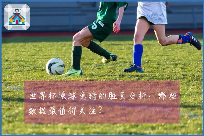 世界杯滚球竞猜的胜负分析，哪些数据最值得关注？