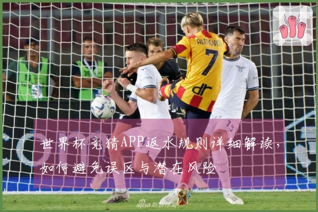 世界杯竞猜APP返水规则详细解读，如何避免误区与潜在风险