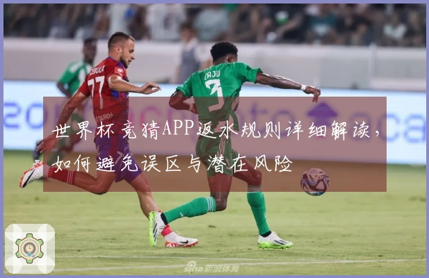 世界杯竞猜APP返水规则详细解读，如何避免误区与潜在风险